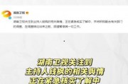 娱乐圈吃瓜运营模式是什么